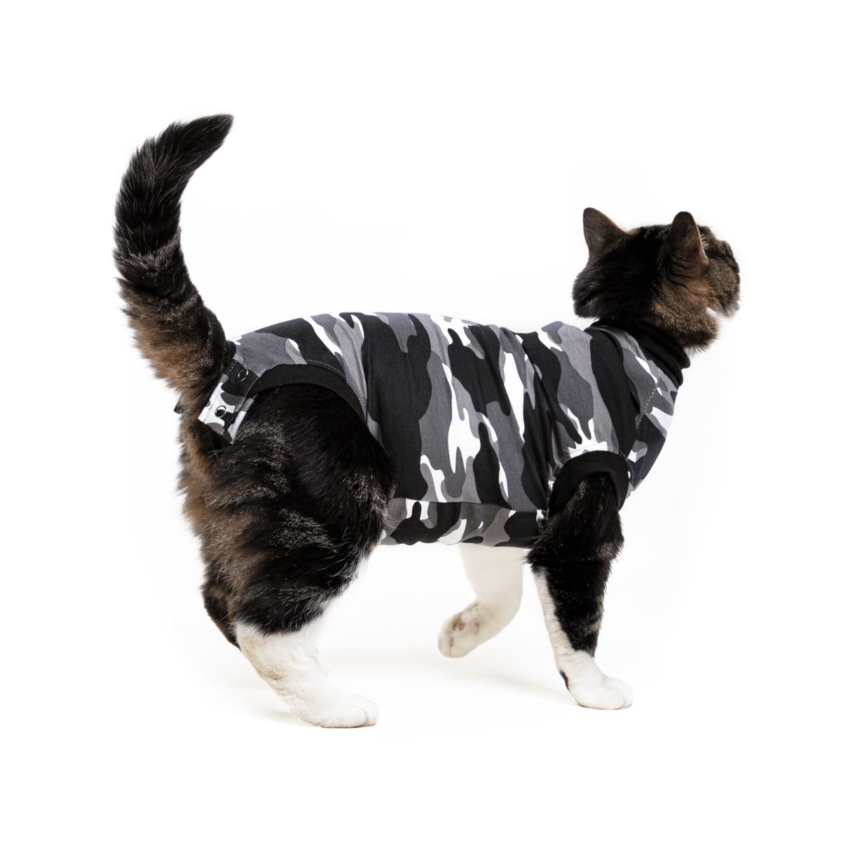 RECOVERY SUIT CAT - Suitical