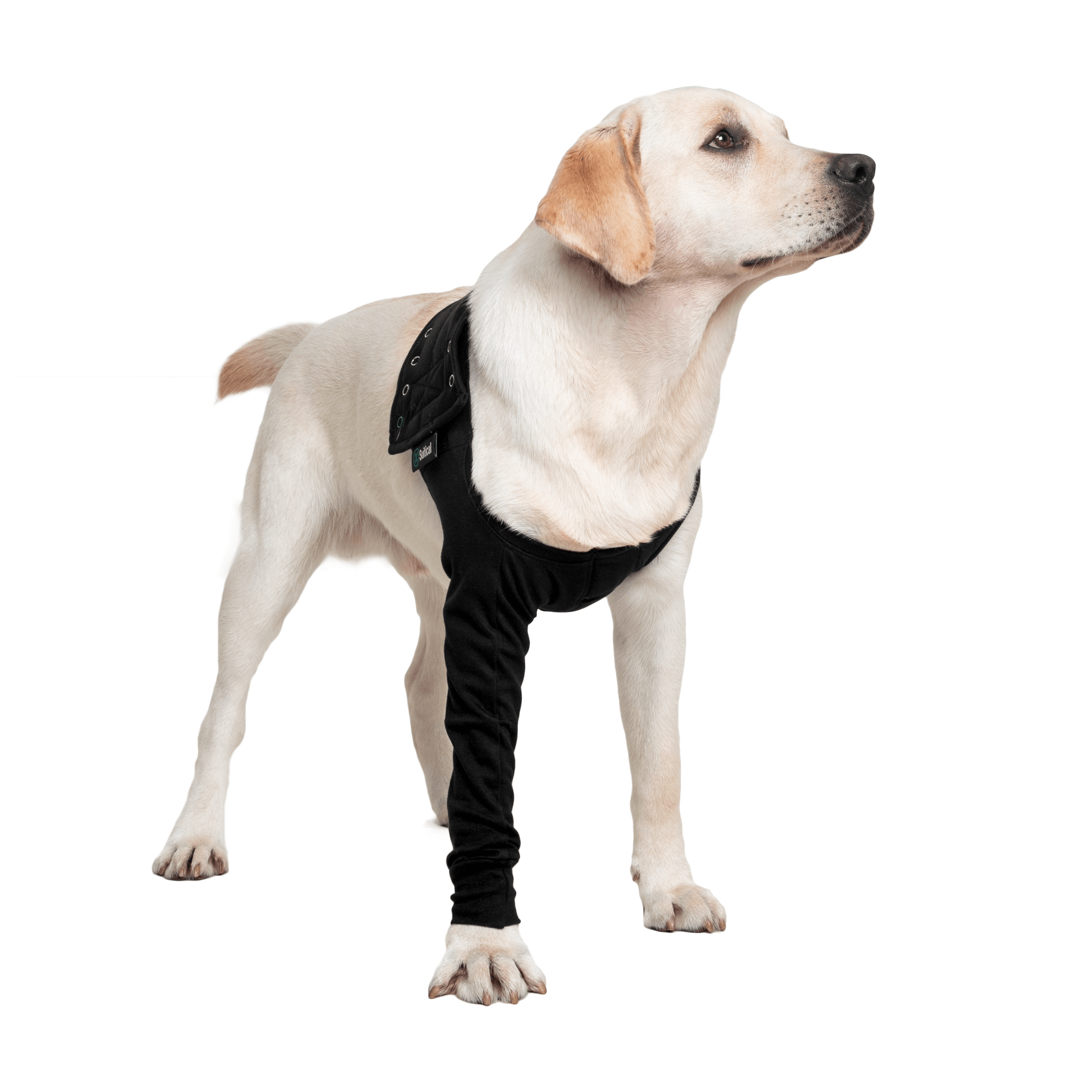 RECOVERY SLEEVE® HUND Suitical