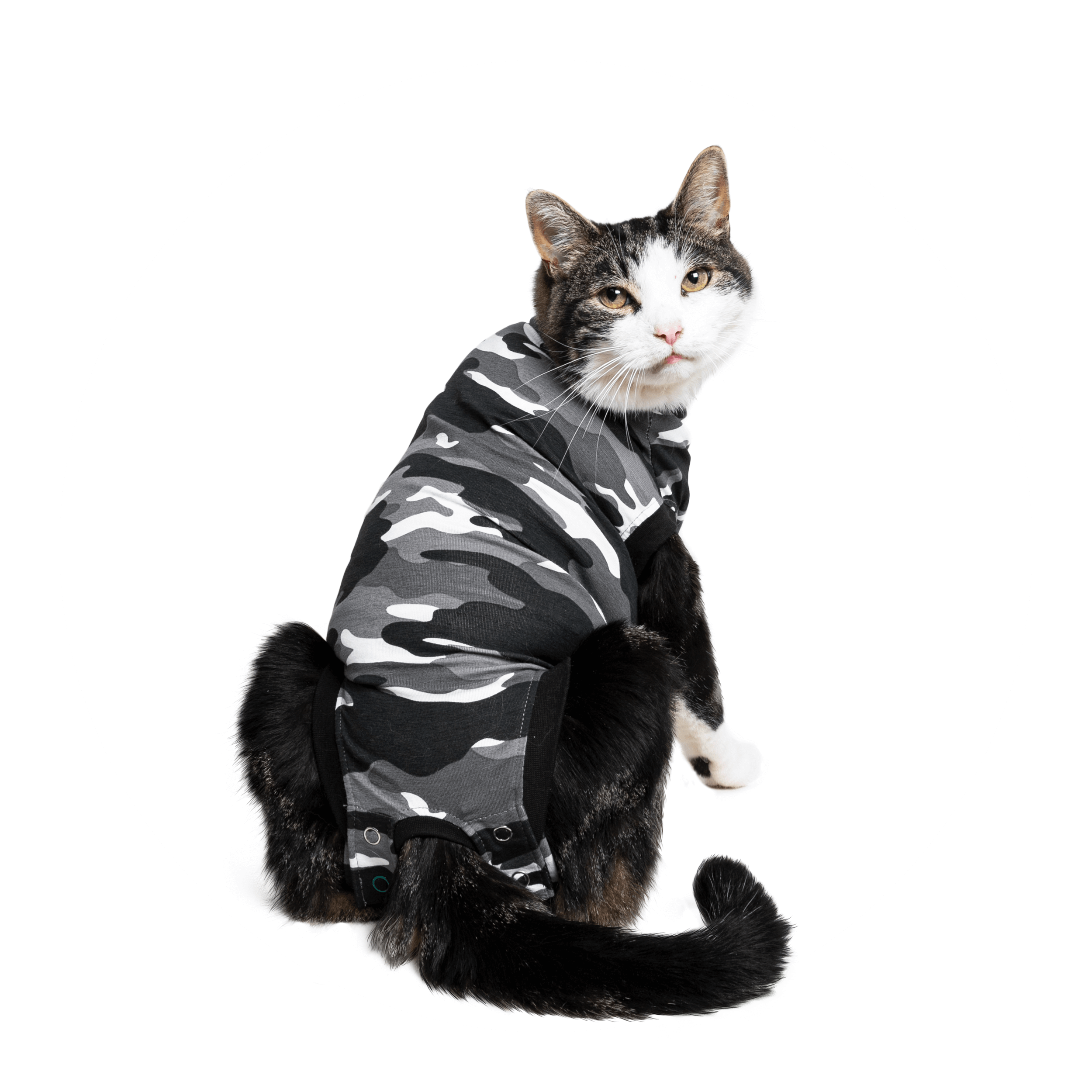 RECOVERY SUIT® KATZE Suitical