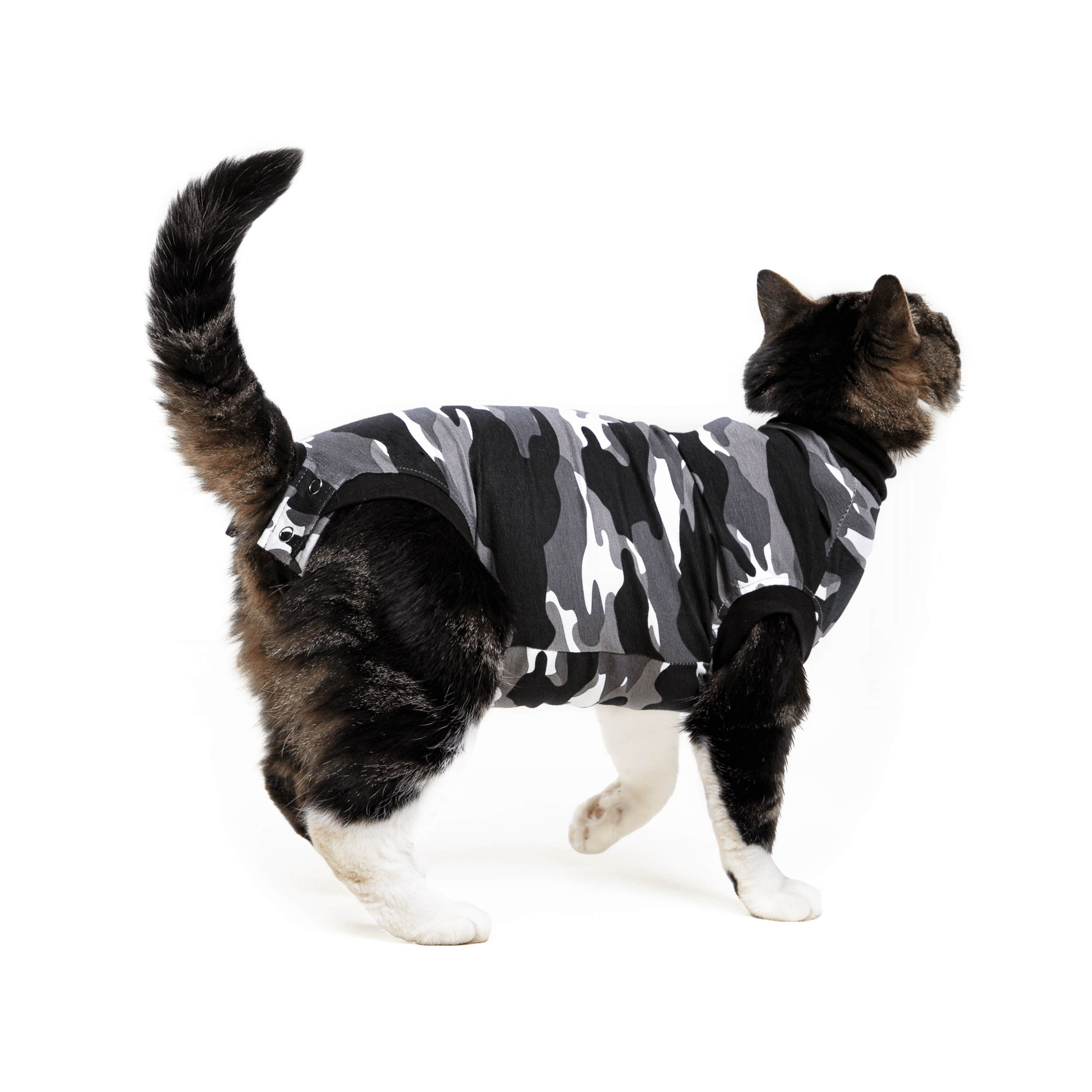 RECOVERY SUIT® KATZE Suitical