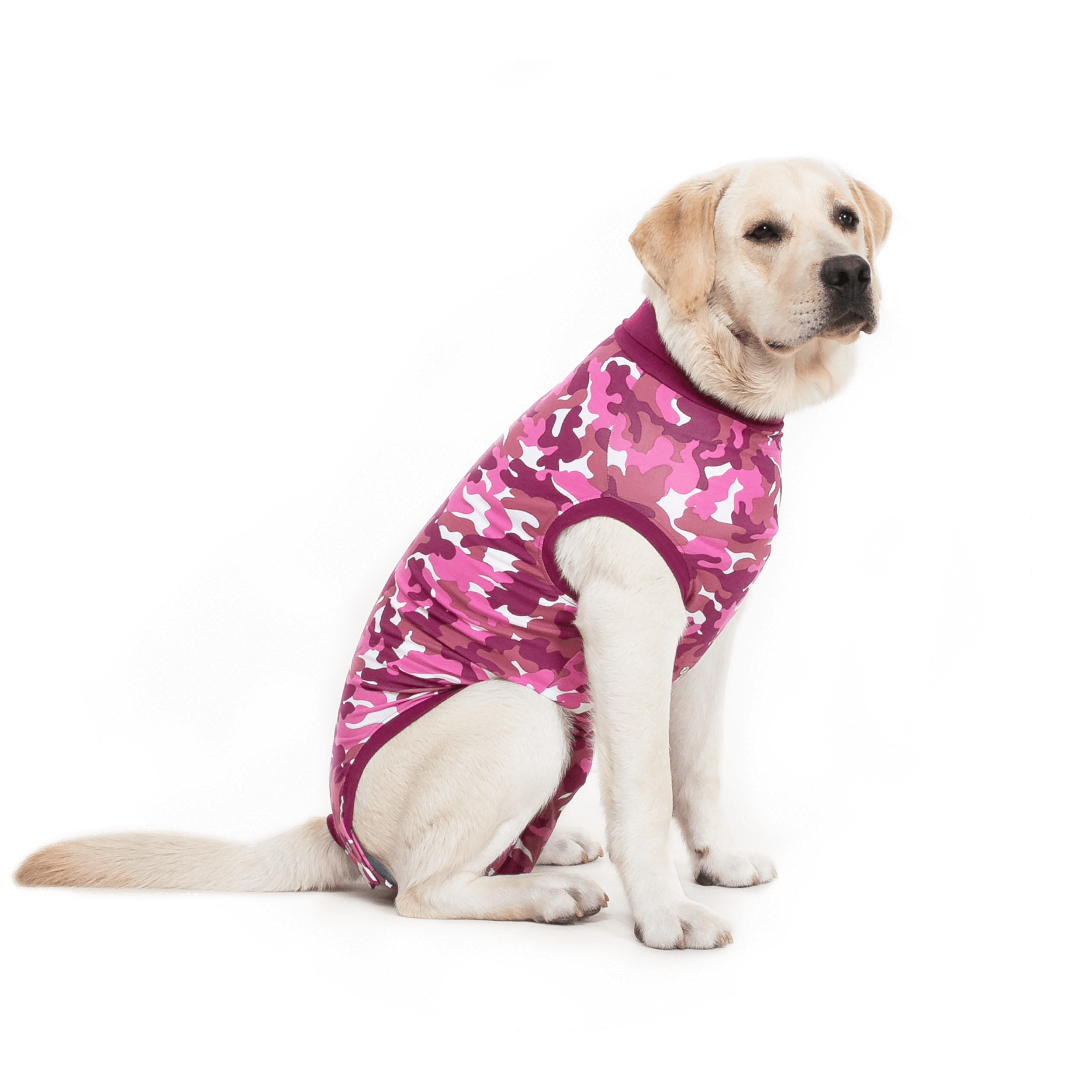 RECOVERY SUIT® HUND Suitical