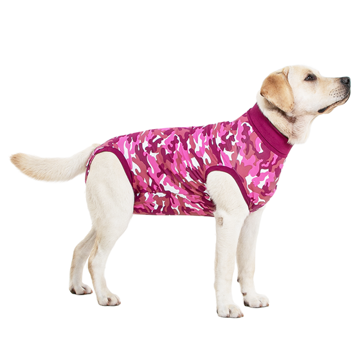 Pet Recovery Suit High Elasticity Comfortable Convenient Soft Allergy Free Prevent  Licking Accelerate Wound Heal Dog Anti-licking Surgery Jumpsuit Pet  Clothing for Puppy 