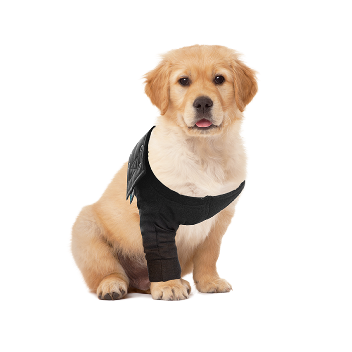 RECOVERY DOUBLE SLEEVES® CHIEN - Suitical